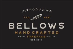 Bellows: A Vintage Display Font for Brand Identity