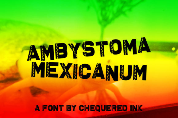 How Ambystoma Mexicanum Gave My Café Brand a Fresh, Festive Look